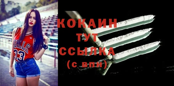 шишки Абинск