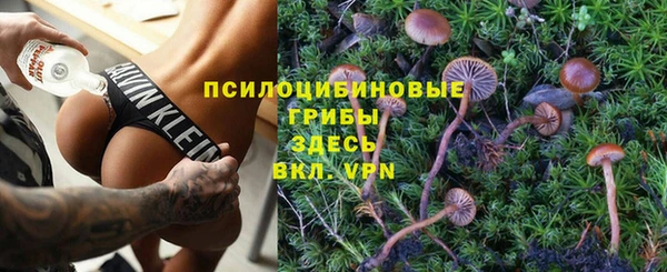 шишки Абинск
