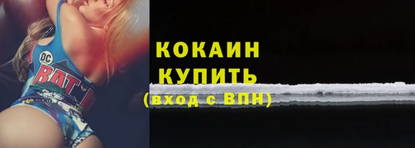 твердый Осинники