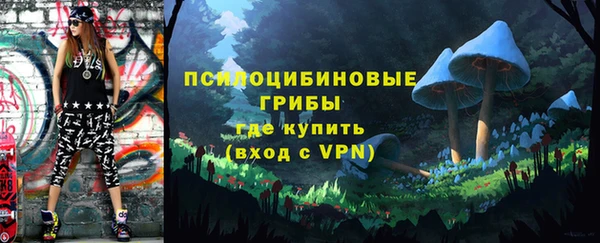 шишки Абинск